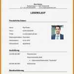 Tabellarischer Lebenslauf Uni Vorlage Fabelhaft 5 Tabellarischer Lebenslauf Uni