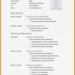 Tabellarischer Lebenslauf Vorlage Lehrer Bewundernswert 13 Lebenslauf Mustervorlage