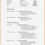 Tabellarischer Lebenslauf Vorlage Lehrer Bewundernswert 6 Lebenslauf Lehrer Muster