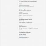 Tabellarischer Lebenslauf Vorlage Lehrer Einzigartig Lebenslauf Muster Für Pfleger