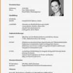 Tabellarischer Lebenslauf Vorlage Lehrer Fabelhaft 13 Lebenslauf Muster 2016