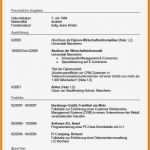 Tabellarischer Lebenslauf Vorlage Lehrer Großartig 5 Tabellarischer Lebenslauf Muster 2015