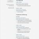 Tabellarischer Lebenslauf Vorlage Lehrer Wunderbar Lebenslauf Muster Für Pfleger