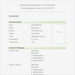 Tabellarischer Lebenslauf Vorlage Pdf Erstaunlich Vorlage 45 Tabellarischer Lebenslauf