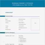 Tabellarischer Lebenslauf Vorlage Word Erstaunlich Vorlage 24 Tabellarischer Lebenslauf