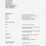 Tabellarischer Lebenslauf Vorlage Zum Ausfüllen Luxus Lebenslauf