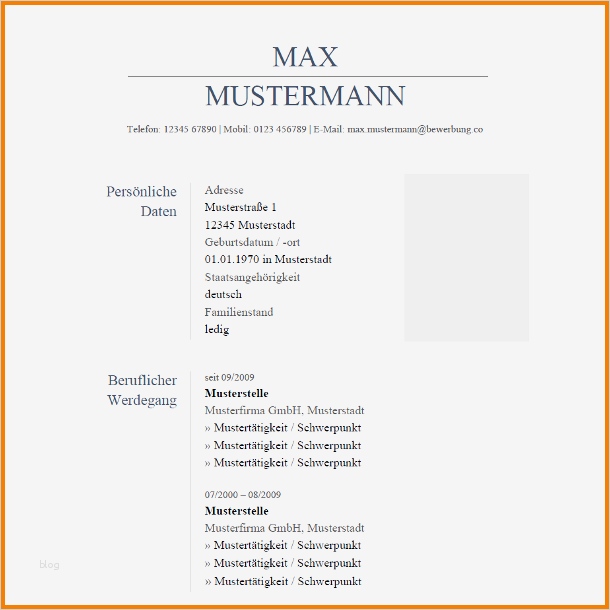 Tabellarischer Lebenslauf Vorlage Zum Ausfüllen Schön 9 Lebenslauf Vordruck Zum Ausfüllen