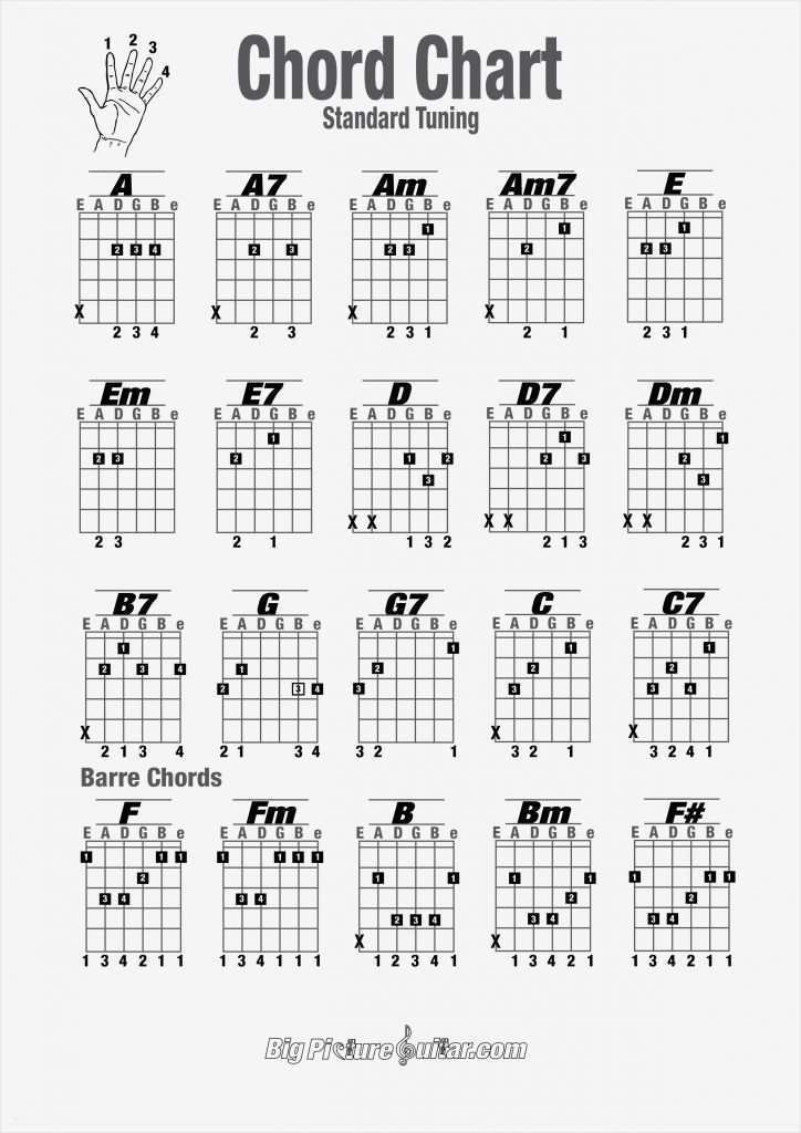Tabulatur Gitarre Vorlage Luxus Chord Chart Diagram | Vorlage Ideen