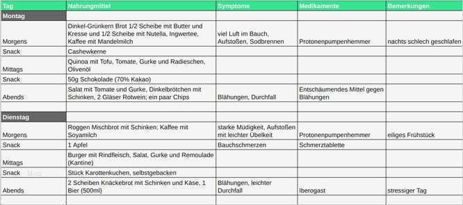 Tagebuch Vorlage Inspiration Ernährungstagebuch Vorlage Inspirational Gemütlich Ern