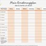 Tagebuch Vorlage Wunderbar Ernährung Erfolgreich Umstellen Ernährungstagebuch Und