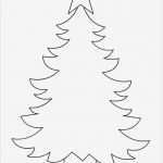 Tannenbaum Vorlage Elegant 11 Besten Malvorlagen Bilder Auf Pinterest