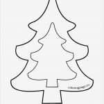 Tannenbaum Vorlage Zum Ausdrucken Großartig Die Besten 25 Weihnachtsbaum Vorlage Ideen Auf Pinterest