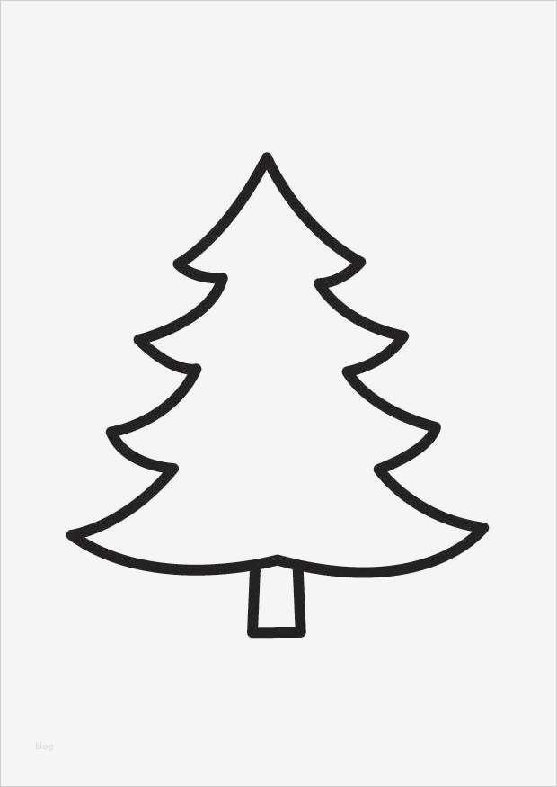Tannenbaum Vorlage Zum Ausdrucken Wunderbar Malvorlage Tannenbaum