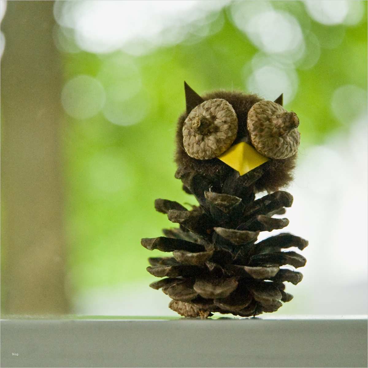 88 Hübsch Tannenzapfen Basteln Vorlagen Bilder 2 Basteln mit Tannenzapfen