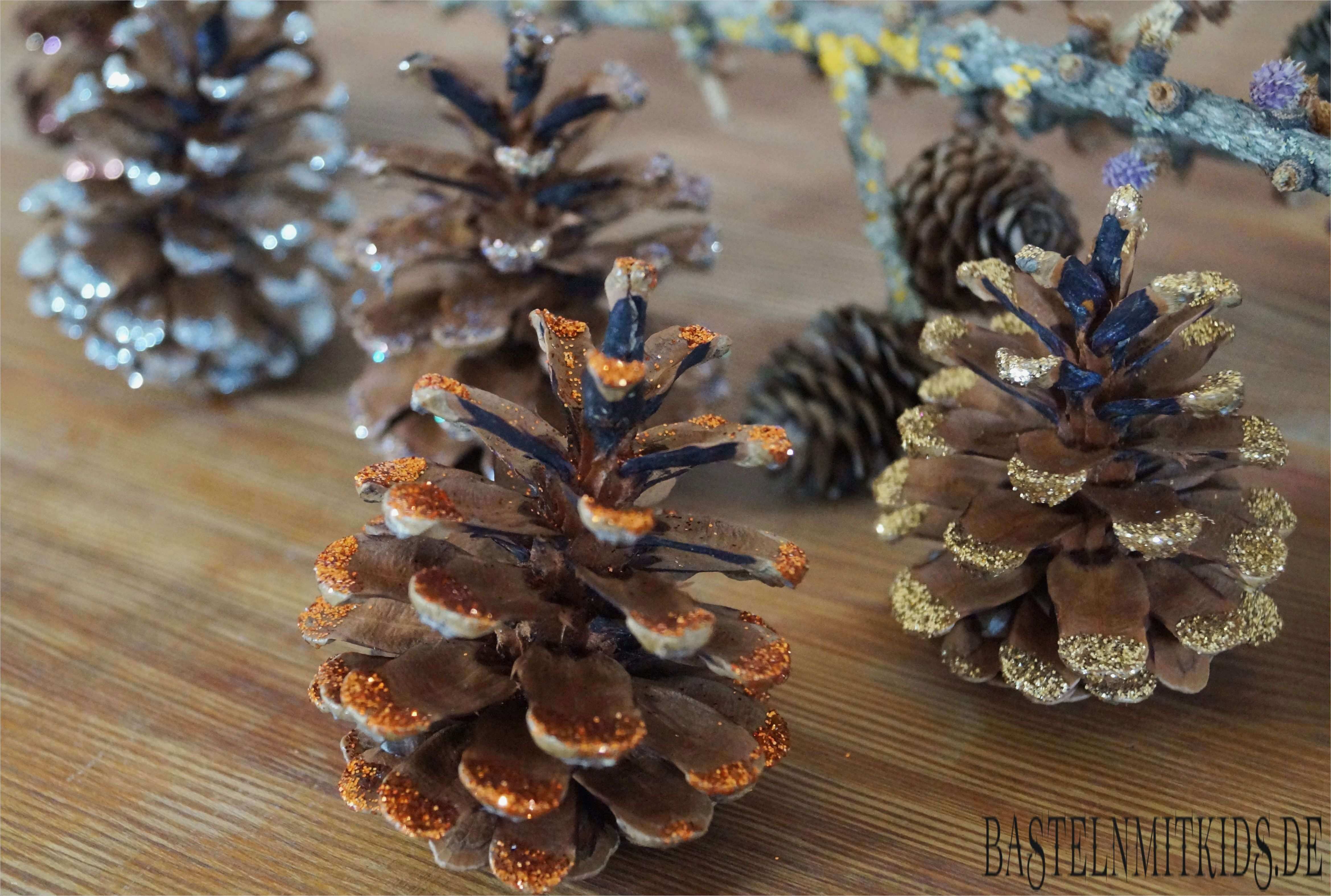 Tannenzapfen Basteln Vorlagen Erstaunlich Basteln Mit Tannenzapfen Basteln Mit Kindern