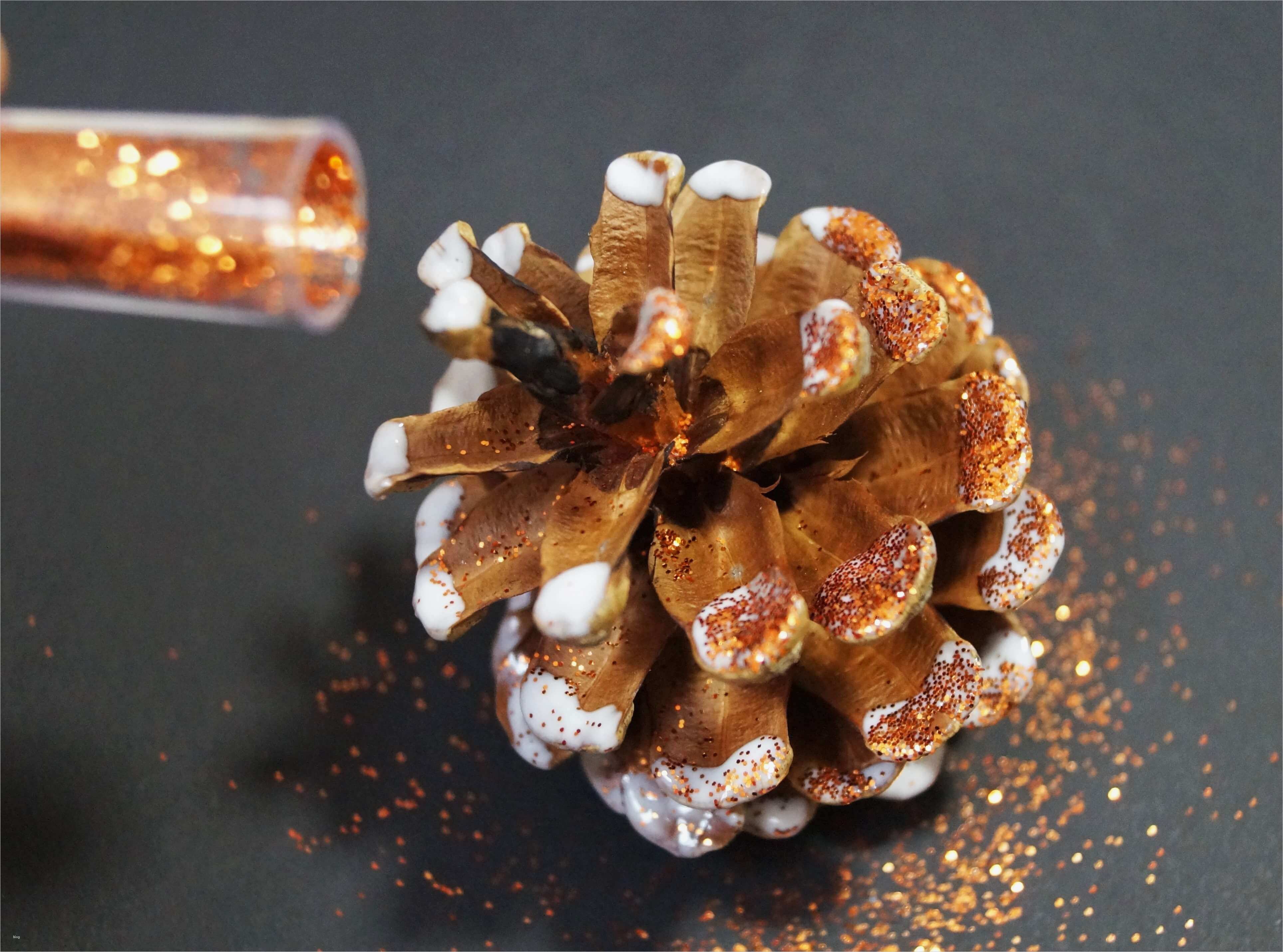 Tannenzapfen Basteln Vorlagen Erstaunlich Basteln Mit Tannenzapfen Basteln Mit Kindern