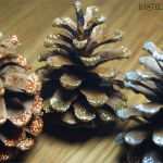 Tannenzapfen Basteln Vorlagen Großartig Basteln Mit Tannenzapfen Basteln Mit Kindern