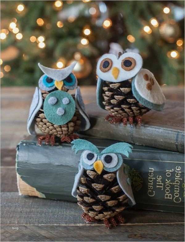 Tannenzapfen Basteln Vorlagen Schön Die Besten 25 Mit Tannenzapfen Basteln Ideen Auf