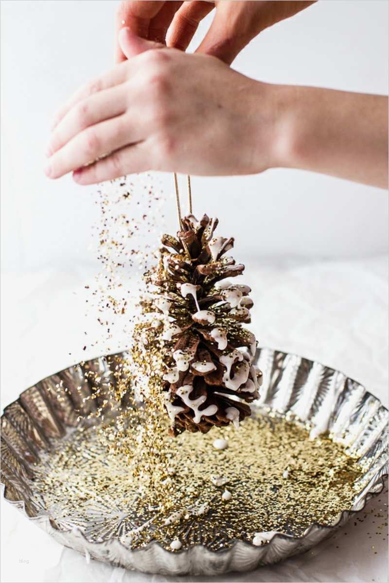 Tannenzapfen Basteln Vorlagen Süß Basteln Mit Tannenzapfen – 50 Diy Ideen Deko & Feiern