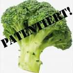 Tätigkeitsbericht Vorlage Praktikum Erstaunlich Beispiele