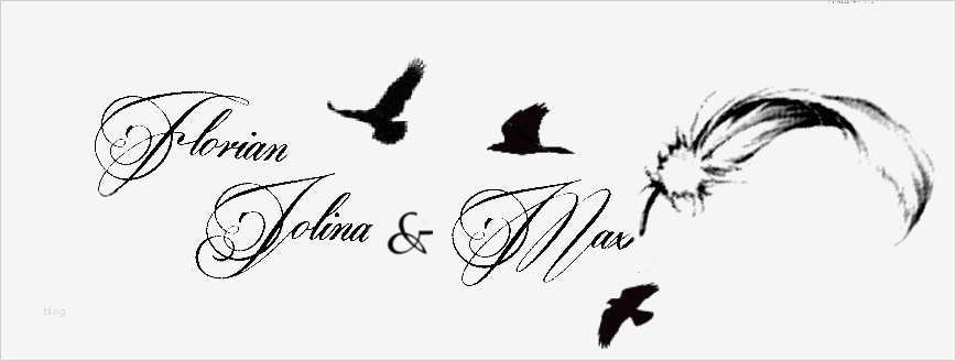 Tattoo Feder Vorlage Cool Zukünftiges Tattoo Unterarm Was Meint Ihr