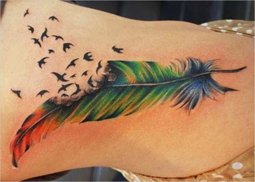 Tattoo Feder Vorlage Erstaunlich Feder Tattoos Und Bedeutung