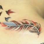 Tattoo Feder Vorlage Fabelhaft Feder Tattoos Und Bedeutung