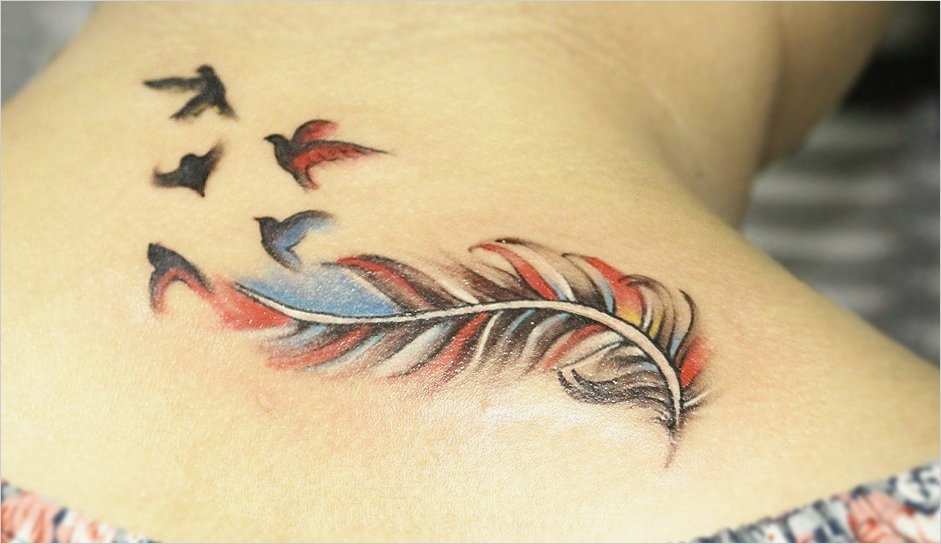 Tattoo Feder Vorlage Fabelhaft Feder Tattoos Und Bedeutung