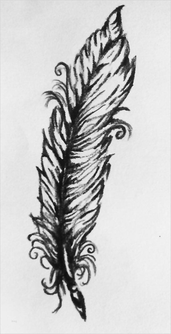 Tattoo Feder Vorlage Großartig Bild Feder Skizze Tattoo Schwarz Von atheyos Bei Kunstnet
