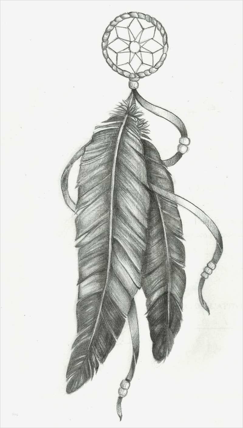 Tattoo Feder Vorlage Gut Feather Tattoo Meaning and Templates