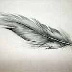 Tattoo Feder Vorlage Süß Ziemlich Truthahn Federn Vorlage Ideen