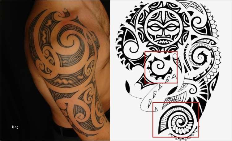 Tattoo Maorie Vorlagen Elegant Polynesische Maori Tattoos Bedeutung Der Tribalsmotive