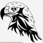 Tattoo Tribal Vorlagen Bewundernswert 100 Tribal Vorlagen Zum Ausdrucken Bilder Ideen