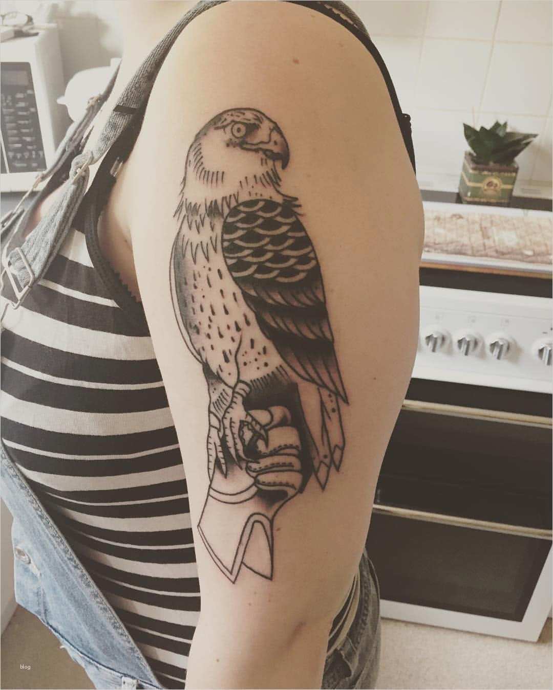 Tattoo Vorlagen Fabelhaft Tattoo Falke Auf Hand