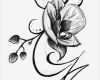 Tattoo Vorlagen Frauen Bewundernswert Blumenranken Tattoo 20 Schöne Vorlagen Für Diverse