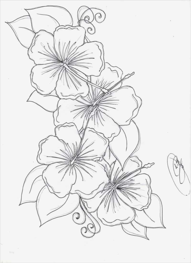 Tattoo Vorlagen Gut Blumenranken Tattoo 20 Schöne Vorlagen Für Diverse