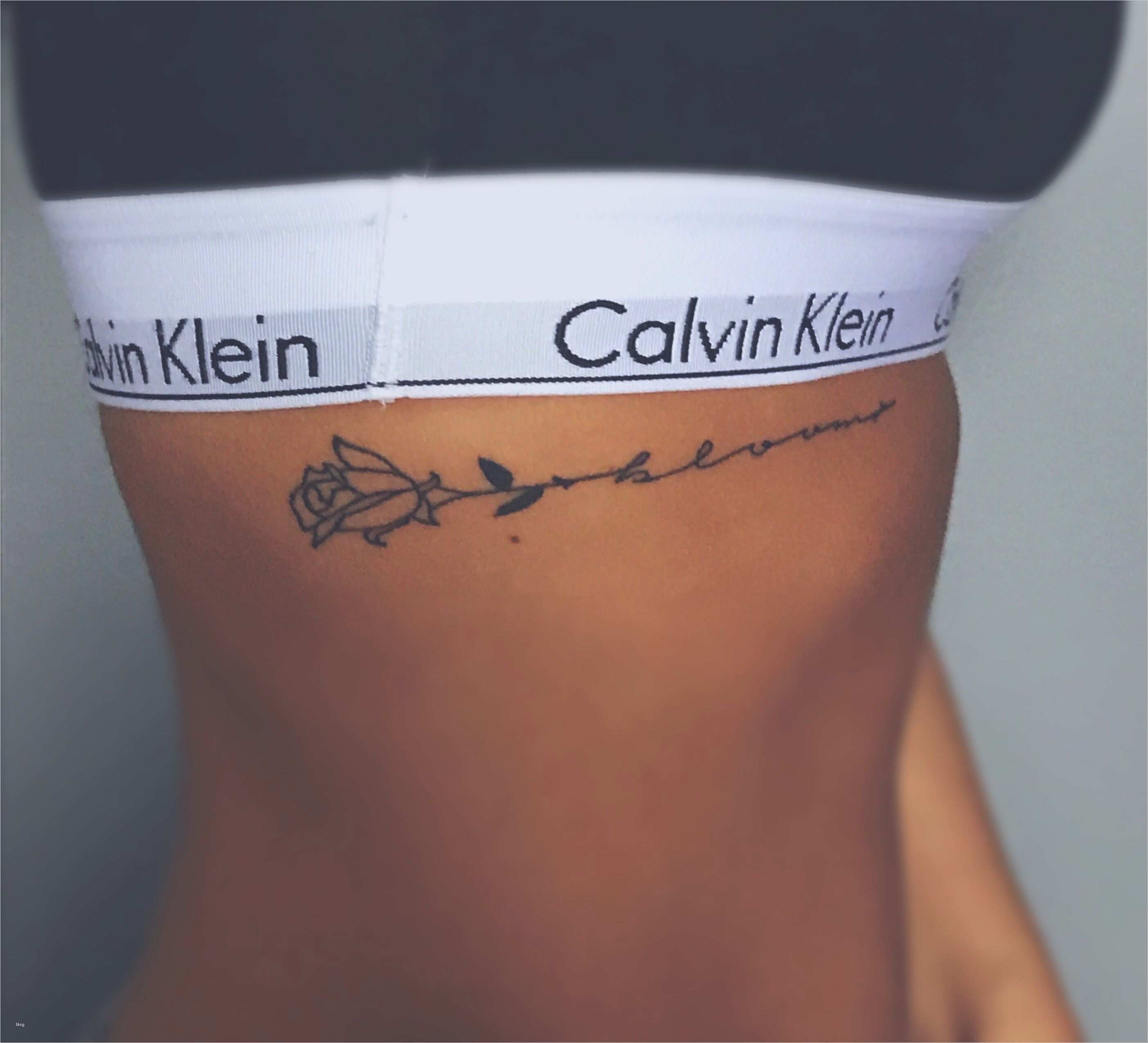 Tattoo Vorlagen Klein Genial Bloom Rose Tattoo Calvin Klein Sports Bra