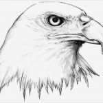 Tattoo Vorlagen Männer Erstaunlich Tattoo Vorlagen 60 Kostenlose Tiermotive Tattoovorlagen