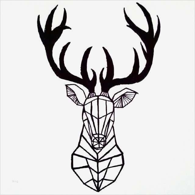 Tattoo Vorlagen Männer Erstaunlich Tattoo Vorlagen 60 Kostenlose Tiermotive Tattoovorlagen