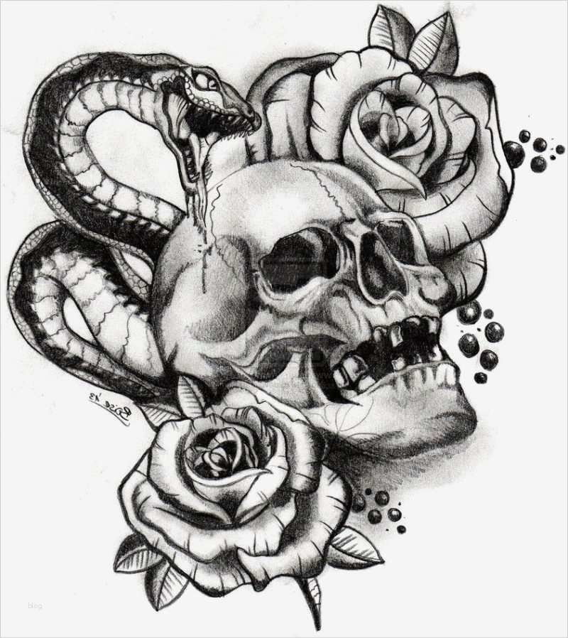 Tattoo Vorlagen Schön Pin Schlange Tattoo Vorlagen Schlangen Tattoos