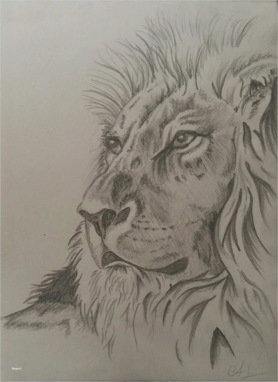 Tattoo Vorlagen Zeichnen Angenehm Tattoo Vorlagen Zeichnen Gut Löwe Gezeichnet Nach Vorlage