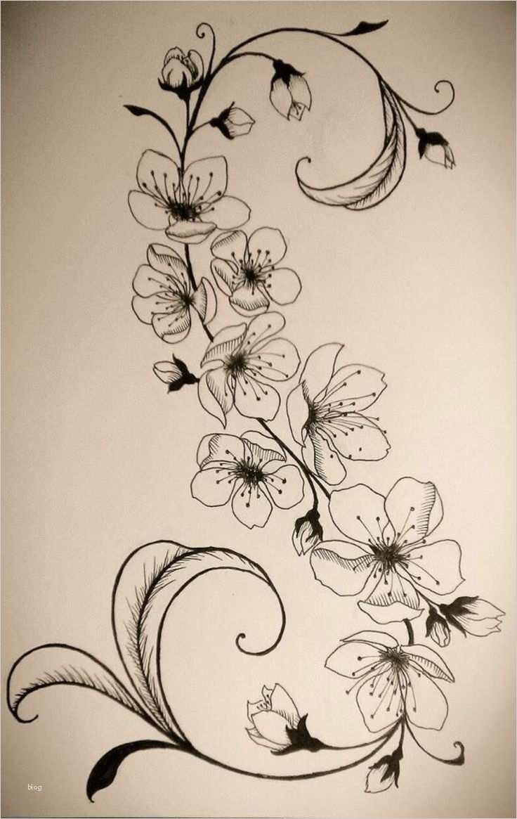 Tattoo Wirbelsäule Vorlagen Best Of Die Besten 17 Ideen Zu Blumenranken Tattoo Auf Pinterest