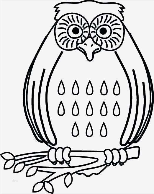 Taufkerze Eule Vorlage Cool Ausgezeichnet Eule Vorlage Ausschneiden Galerie Entry