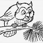 Taufkerze Eule Vorlage Schönste Die Besten 25 Ausmalbilder Eulen Ideen Auf Pinterest