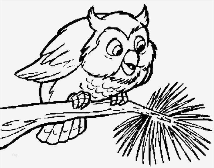 63 Neu Taufkerze Eule Vorlage Ideen 1 Taufkerze Eule Vorlage Schönste Die Besten 25 Ausmalbilder Eulen Ideen Auf Pinterest