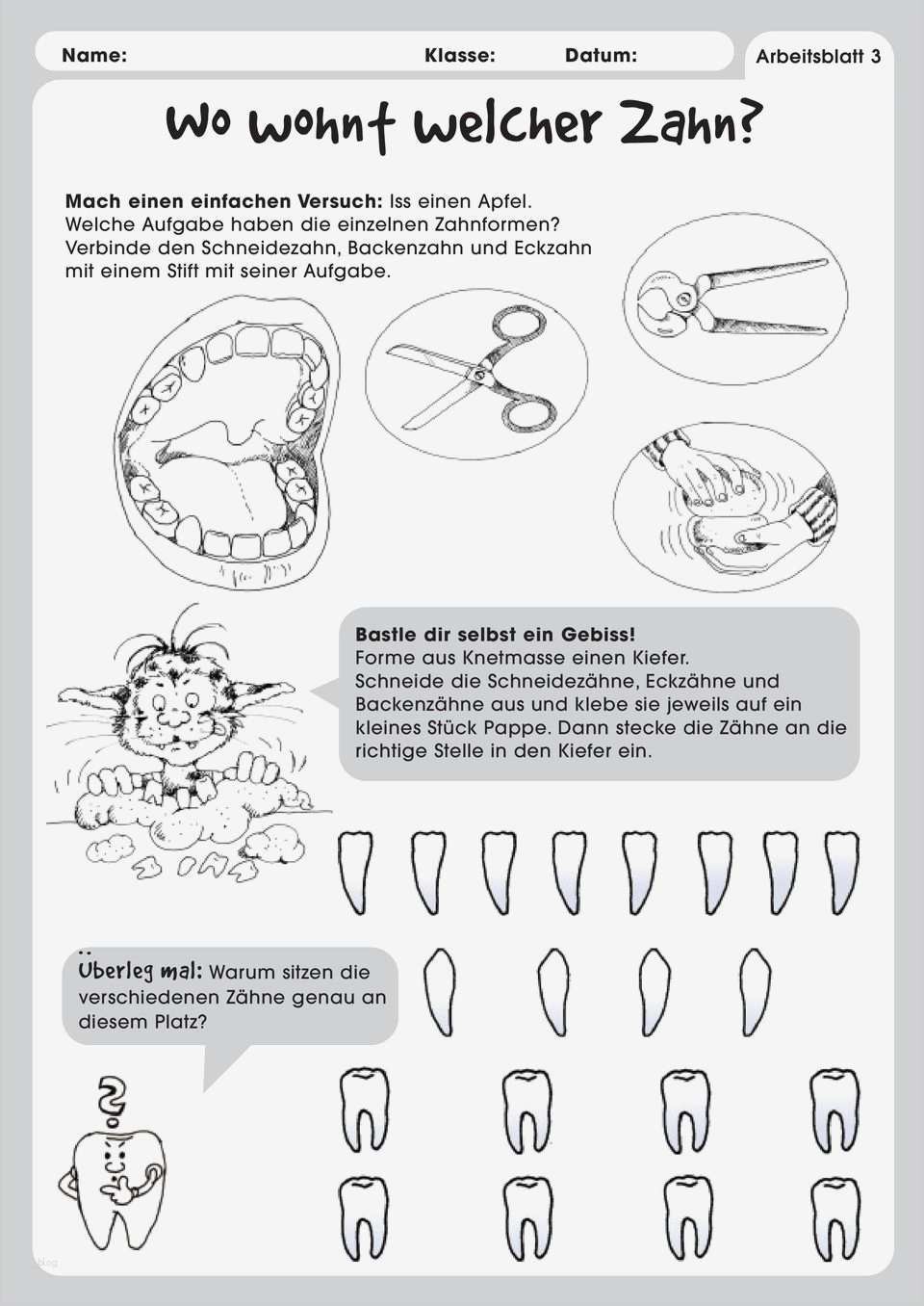 Teacch Mappen Vorlagen Großartig Niedlich Apfel Arbeitsblatt Zeitgenössisch Mathe