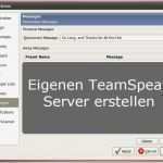 Teamspeak Server Kündigen Vorlage Genial Teamspeak Server Erstellen so Wird´s Gemacht