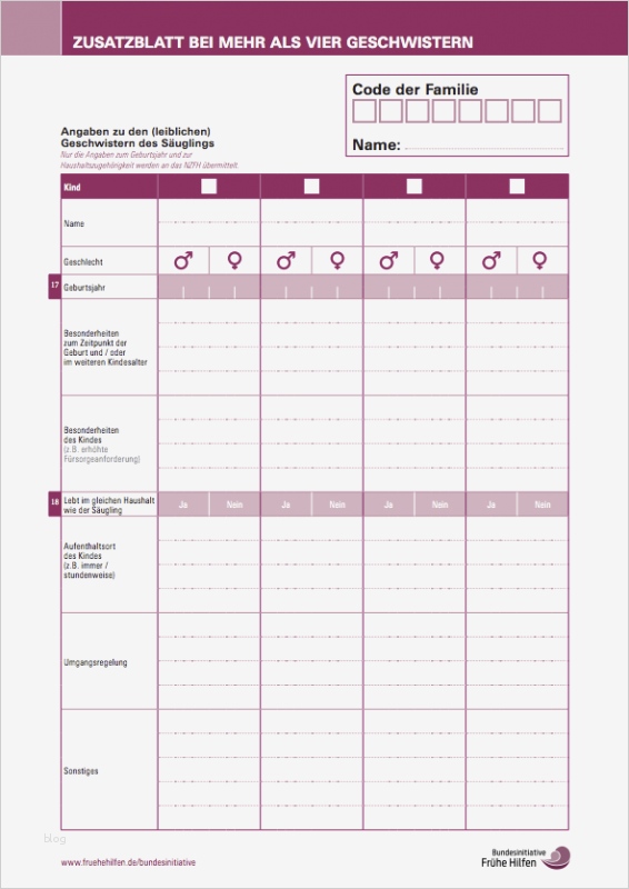 Technische Dokumentation Vorlage Bewundernswert Gemütlich Anwendungsdokumentationsvorlage Fotos Entry