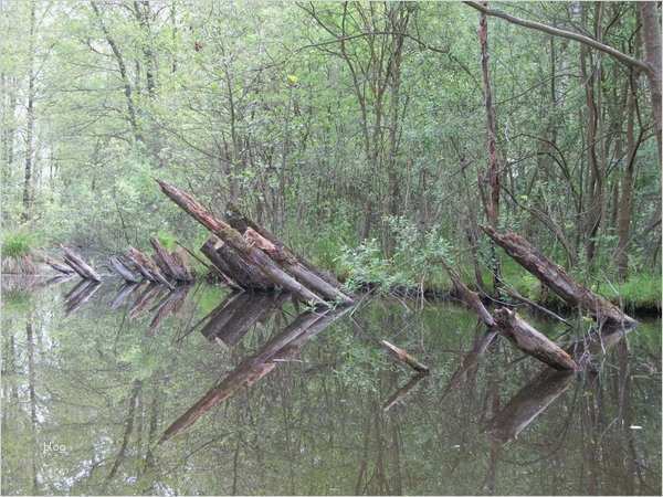 Teilnahme Auf Eigene Gefahr Vorlage Luxus Dtv Schloß Ricklingen Bietet Eine Paddeltour Auf Der Leine