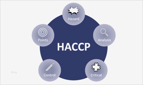 Temperaturkontrolle Gastronomie Vorlage Wunderbar Nett Haccp Vorlage Zeitgenössisch Dokumentationsvorlage